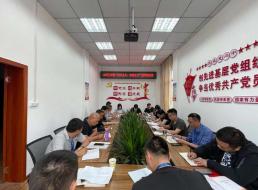 公司三支部召開黨員大會(huì)暨“形式主義、官僚主義”集中整治工作會(huì)